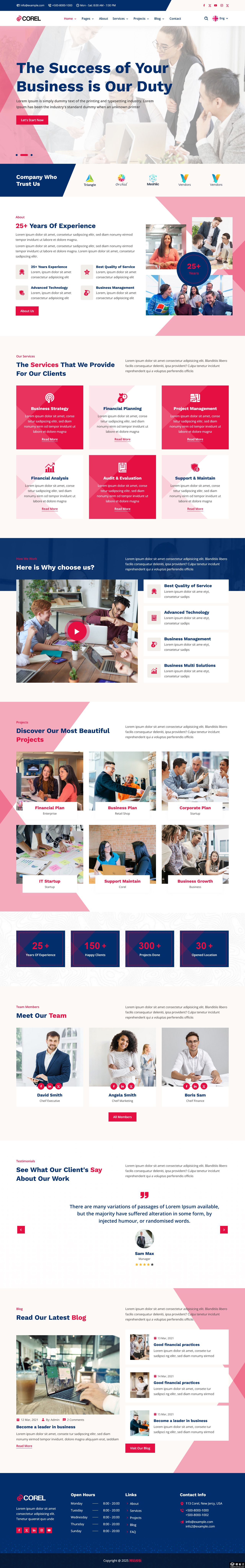 商业项目管理服务咨询网站模板-PC预览