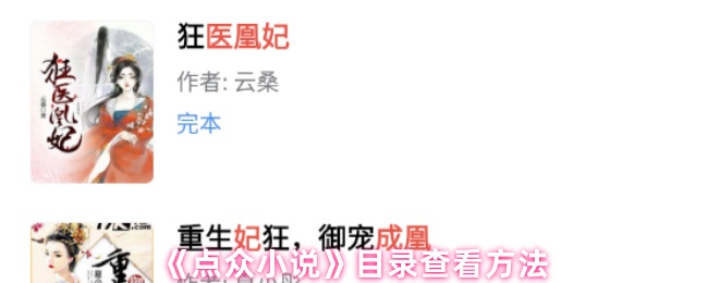 《点众小说》目录查看方法
