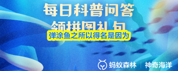 弹涂鱼之所以得名是因为