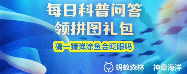 猜一猜弹涂鱼会眨眼吗