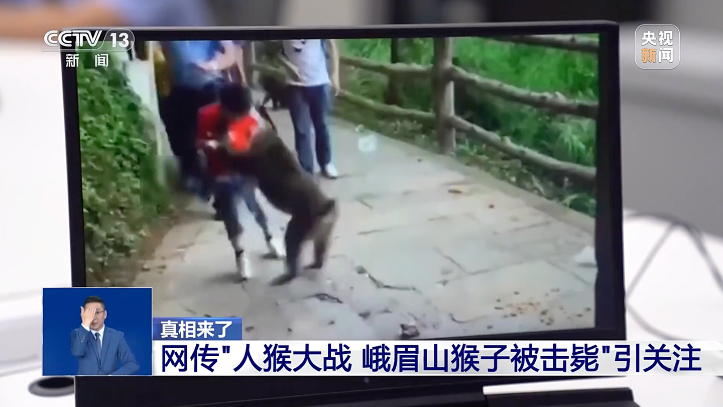 AI 合成痕迹明显：网传“峨眉山猴子被击毙”视频系捏造，多名造谣者被查处