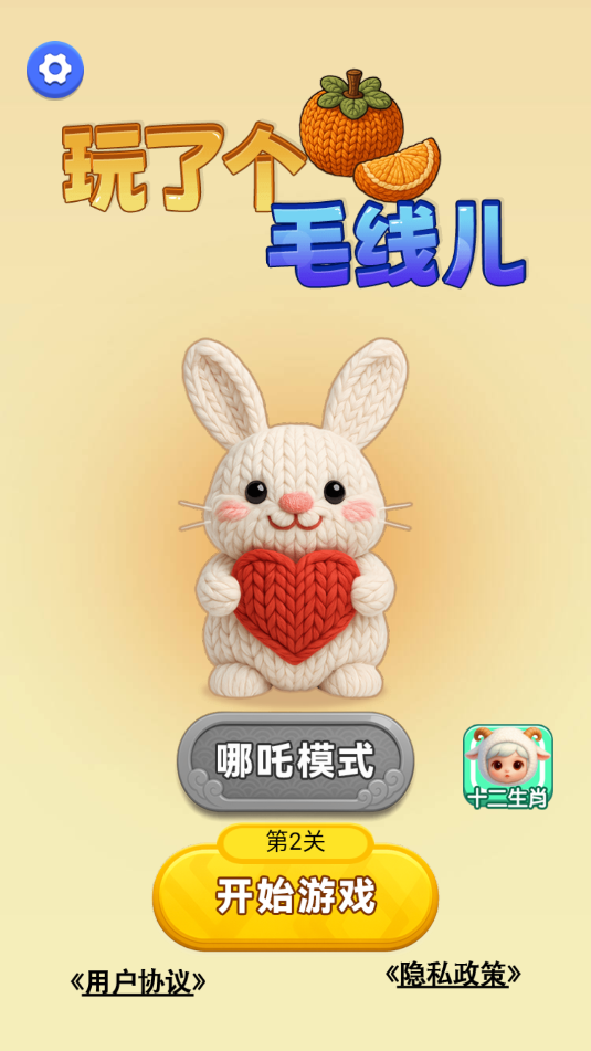 玩了个毛线儿