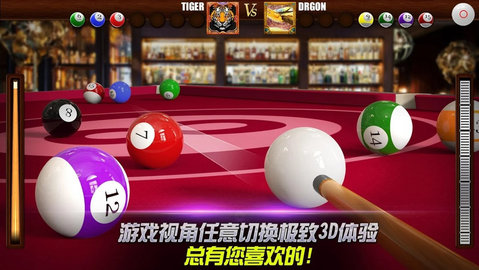 真实3d台球(real 3d pool)