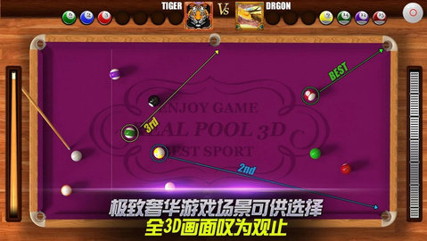 真实3d台球(real 3d pool)