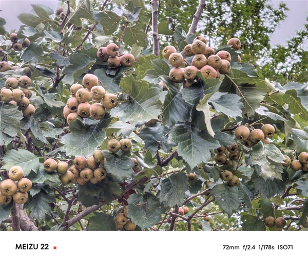 一年半磨一剑！魅族22评测：要做6.3英寸的综合体验旗舰