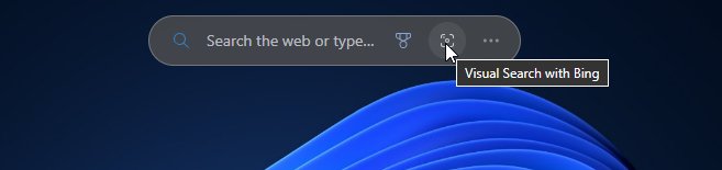 Win11 版微软 Edge Canary 桌面搜索栏新增“相机”：无需启动浏览器，能基于图片直接视觉搜索