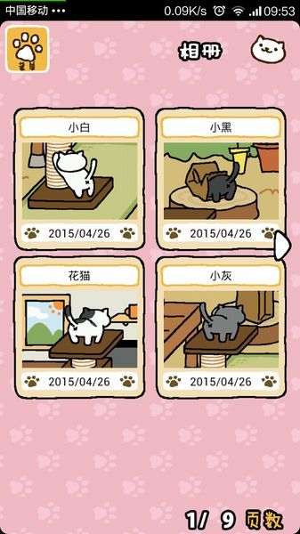 收集猫猫中文版