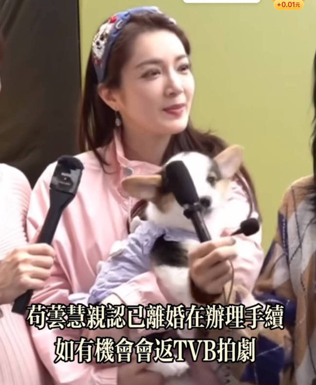 苟芸慧回应单身问题 已办完离婚表示现在很自由