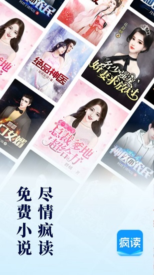疯读小说老版本