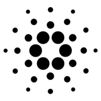 SNX交易所最新版安装V0.3.0 安卓版
