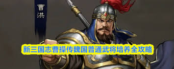 新三国志曹操传魏国普通武将怎么培养