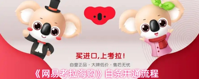 《网易考拉海购》白条开通流程