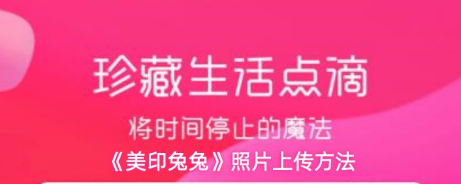 《美印兔兔》照片上传方法