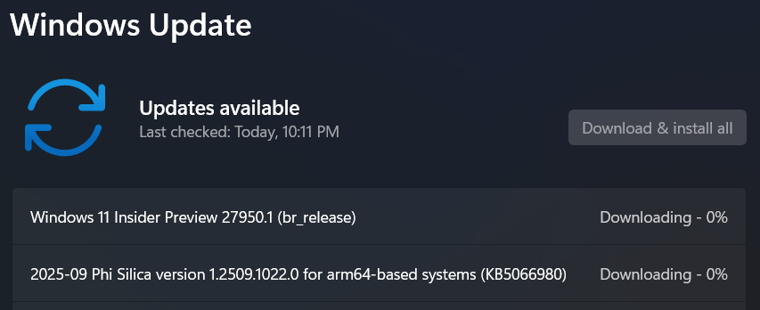 微软推 Win11 Canary 27950 预览版：撤回更名“高级”设置，修复屏幕闪烁问题