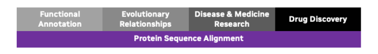 The figure illustrates how protein sequence alignment is a central method in functional annotation, evolutionary studies, disease research, and drug discovery, enabling scientists to predict protein function, identify conserved domains, detect disease-causing mutations, and guide drug target identification and optimization.