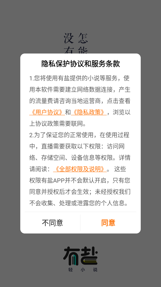 有盐轻小说