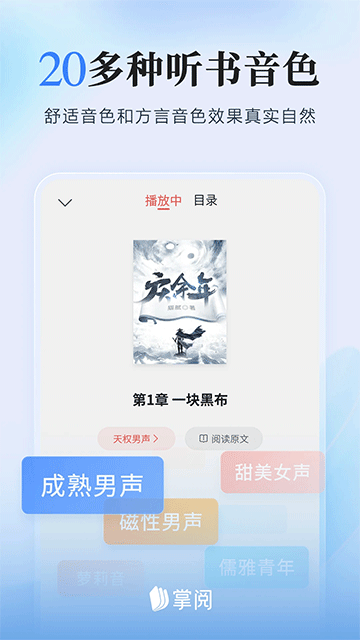 掌阅小说