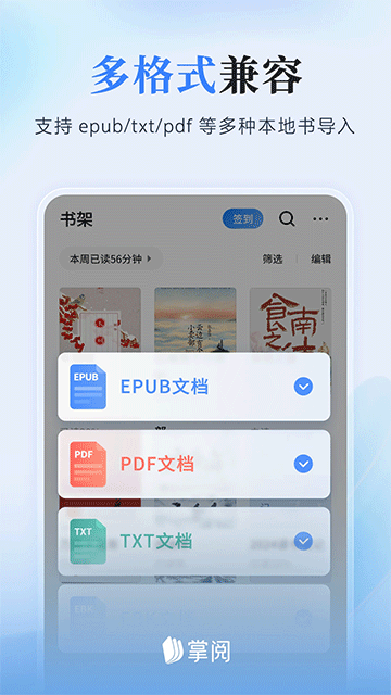 掌阅小说