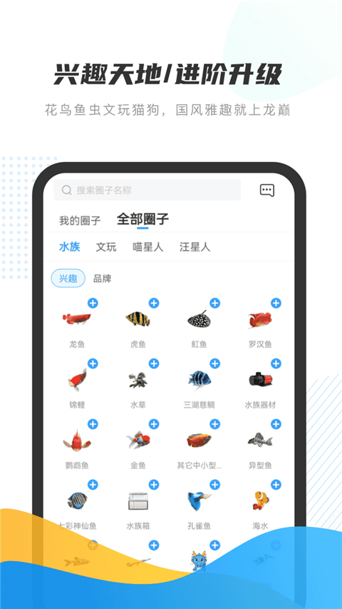 龙巅水族论坛