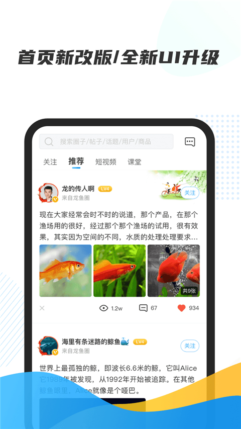 龙巅水族论坛