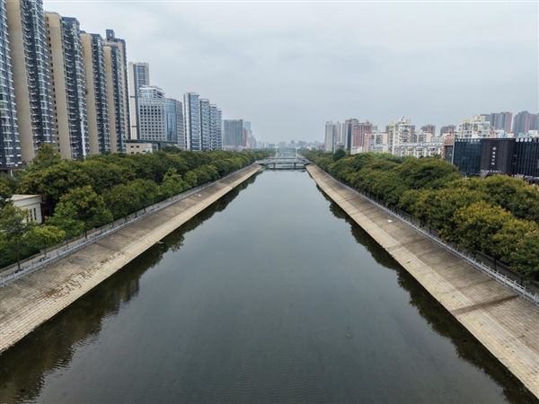大疆 Mini 5 Pro深度评测：1 英寸大底加持，入门级无人机迎来画质天花板