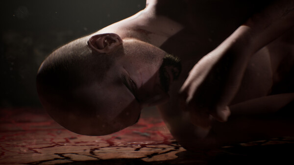 氧化室208免安装绿色中文版