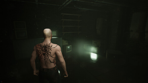 氧化室208免安装绿色中文版