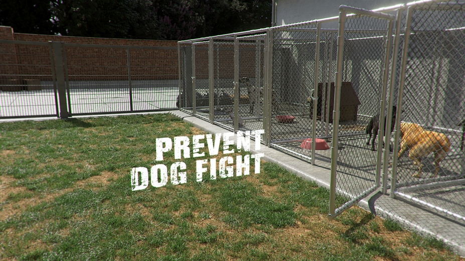 动物收容所免安装绿色中文版