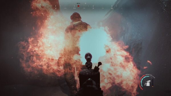 奈德拉中文正式版