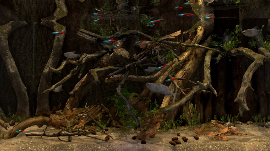 玻璃背后：水族箱模拟器免安装绿色中文版