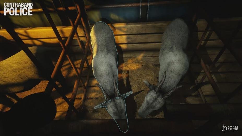 缉私警察免安装绿色中文版