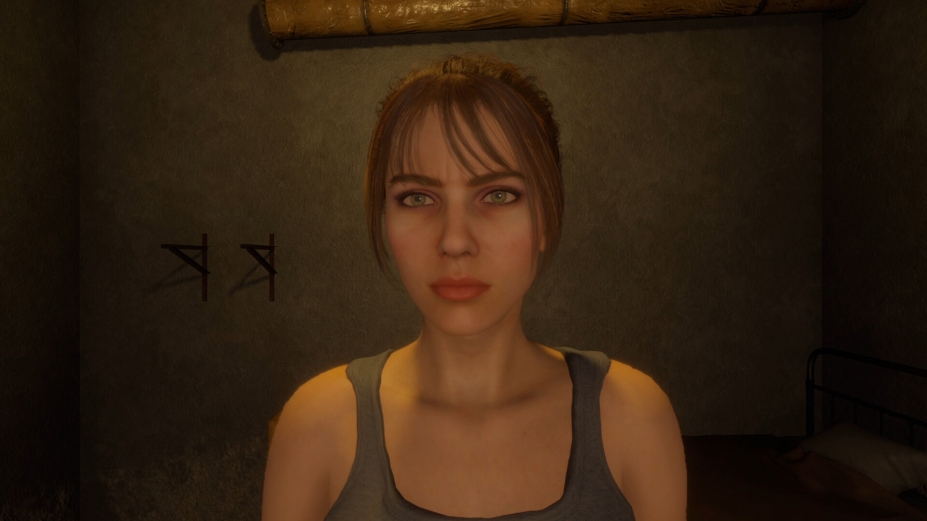 塞琳的难熬之夜免安装绿色中文版