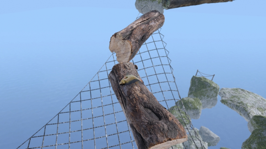 咸鱼翻身免安装绿色版