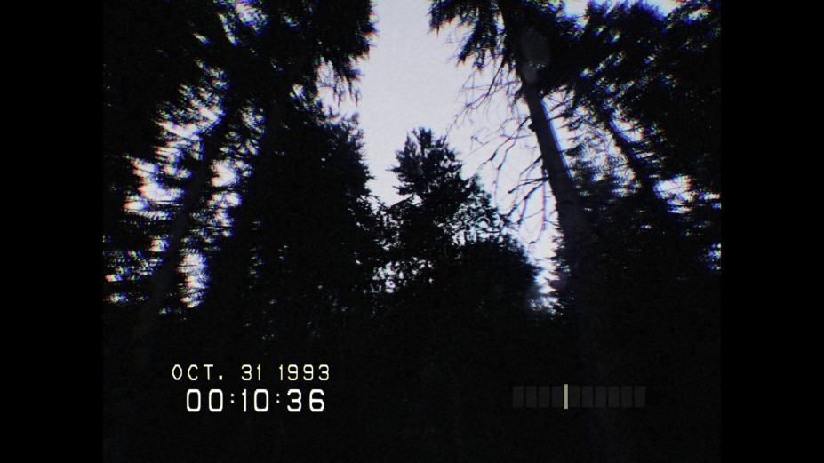 切勿尖叫免安装绿色中文版