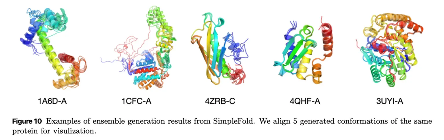 科研利器：苹果发布轻量 AI 模型 SimpleFold，降低蛋白质预测计算成本