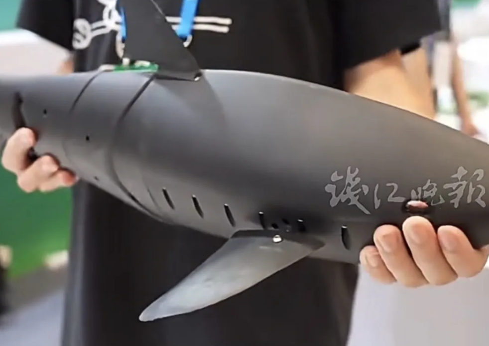 杭州西湖景区投放鲤鱼造型“仿生机器鱼”，用于应急打捞及环境监测用途