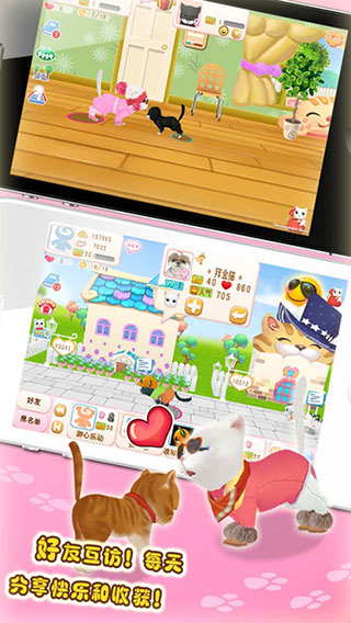 晴天小猫ios版