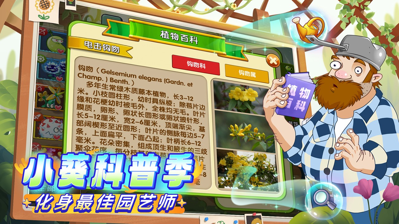 植物大战僵尸2九游最新版本