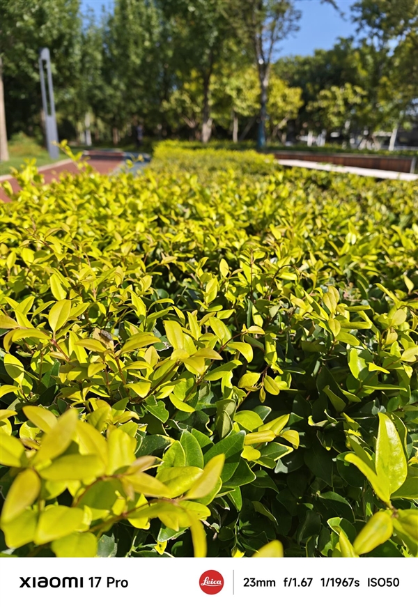 终于等到小米首款小尺寸Pro！小米17 Pro评测：5X长焦加持的不妥协小屏