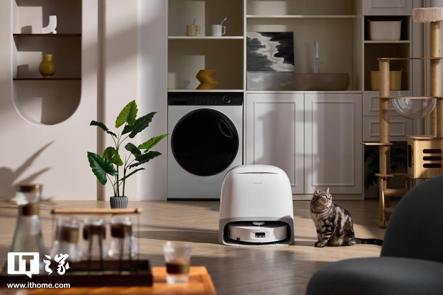 【阿里西西实拍】石头首款滚筒活水扫拖机器人：石头 P20 活水版图赏