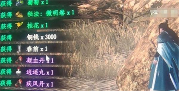 下一站江湖2逍遥丸怎么获取