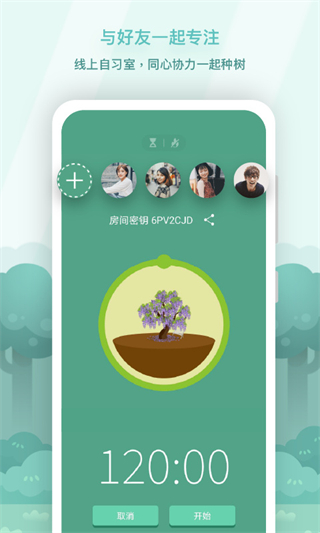 forest最新版