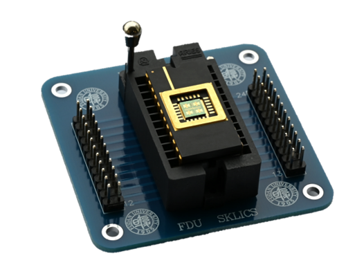 全球首颗！复旦团队研发出二维-硅基混合架构闪存芯片