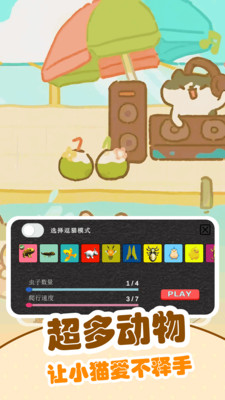 逗猫