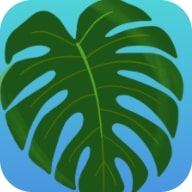 植物疗愈纽约时光