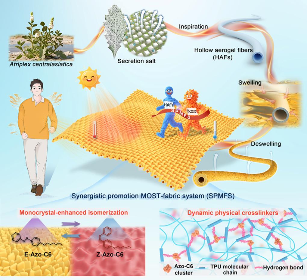 天津大学团队研发 MOST 太阳能热织物：光照 12 秒升温至 40℃