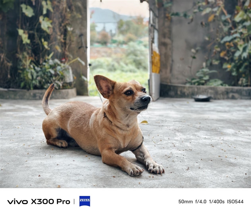 史上最强的影像旗舰！vivo X300 Pro评测：越级挑战的全能神机