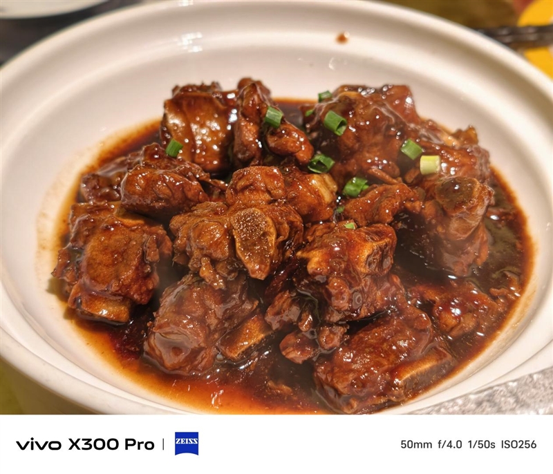 史上最强的影像旗舰！vivo X300 Pro评测：越级挑战的全能神机