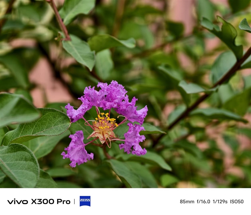 史上最强的影像旗舰！vivo X300 Pro评测：越级挑战的全能神机