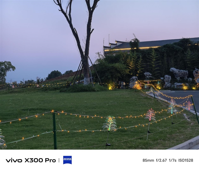 史上最强的影像旗舰！vivo X300 Pro评测：越级挑战的全能神机